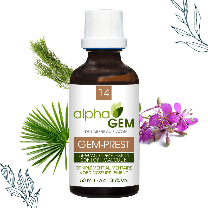 Gemmo-complexe Confort masculin (GEM-PREST) - Alphagem