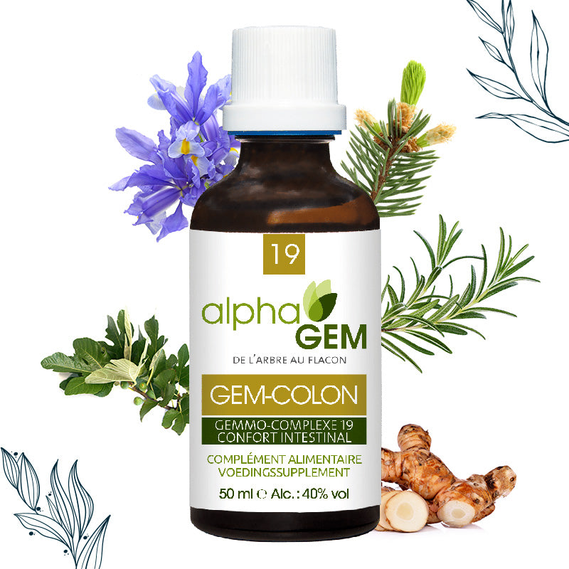 Gemmo-complexe Confort intestinal Bio (GEM-COLON) - Alphagem