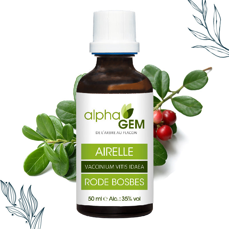 Bourgeons Airelle Bio - Alphagem
