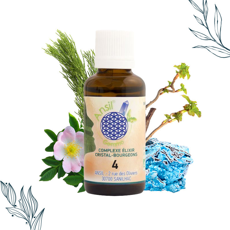 Complxe bio n°4 Hémimorphite et bourgeons d'Ansil