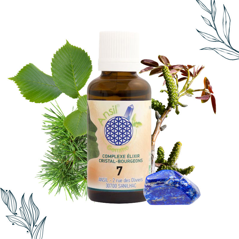 Complxe bio n°7 de Lapis-Lazuli et bourgeons d'Ansil