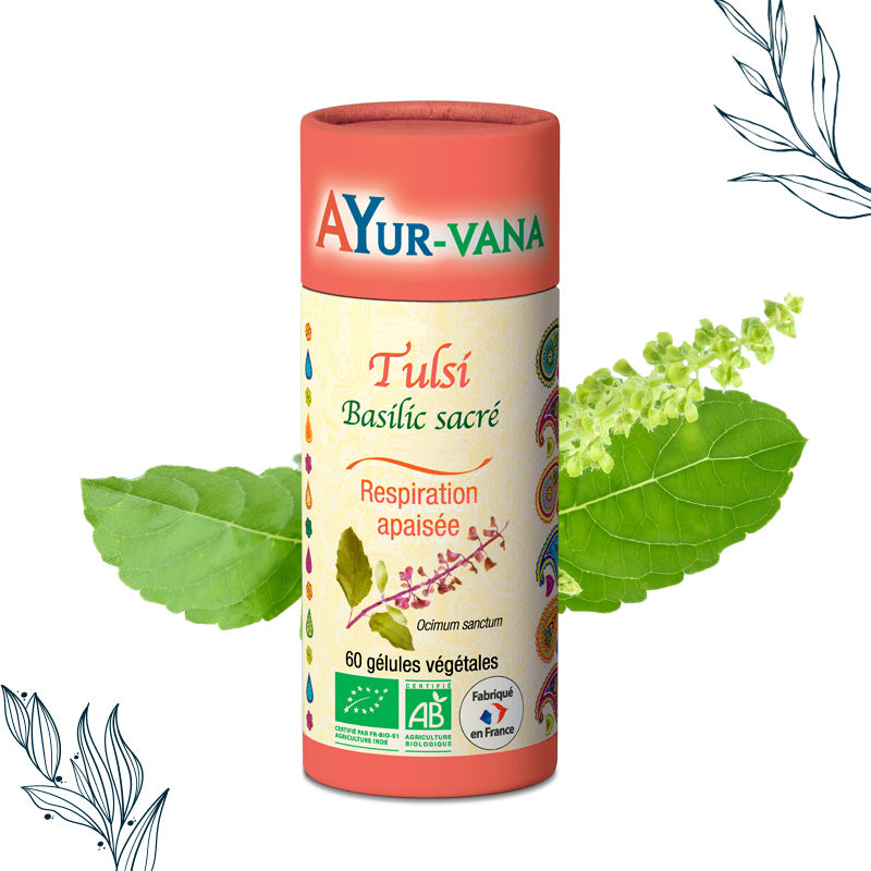 Tulsi bio en gélules Ayurvana