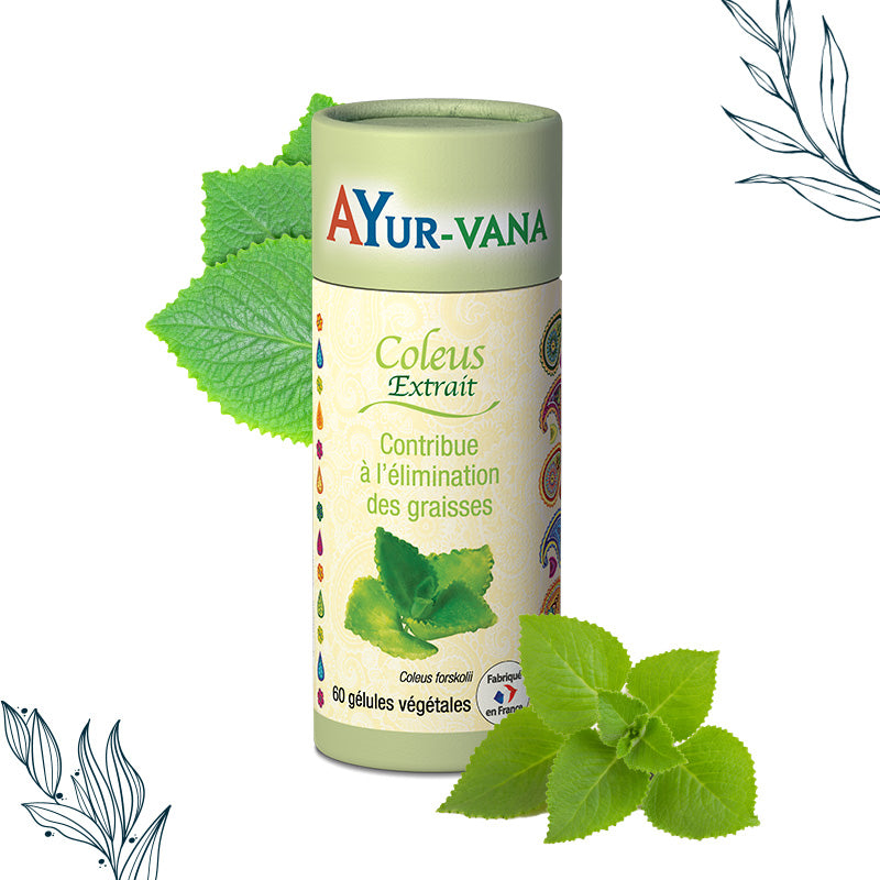 Pilulier de 60 gélules de Coleus Forskohlii de la marque Ayurvana