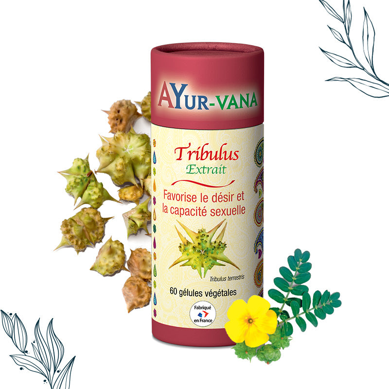 Pilulier de 60 gélules de Tribulus Terrestris de la marque Ayurvana