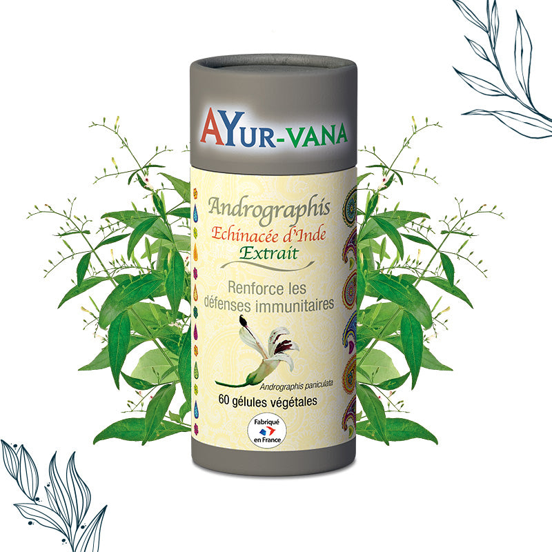 Angrographis en extrait de 60 gélules végétales de AYur-vana