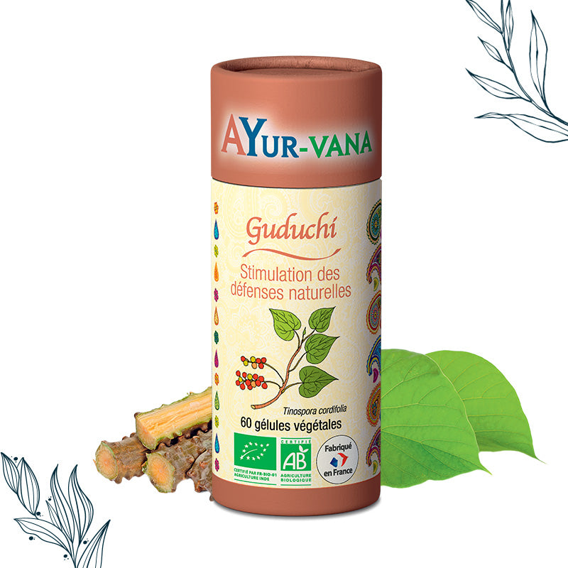 Pilulier de 60 gélules de Guduchi bio de la marque Ayurvana