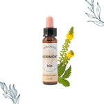 Flacon compte goutte de 10 ml de fleurs de bach bio d'aigremoine de la marque dioter