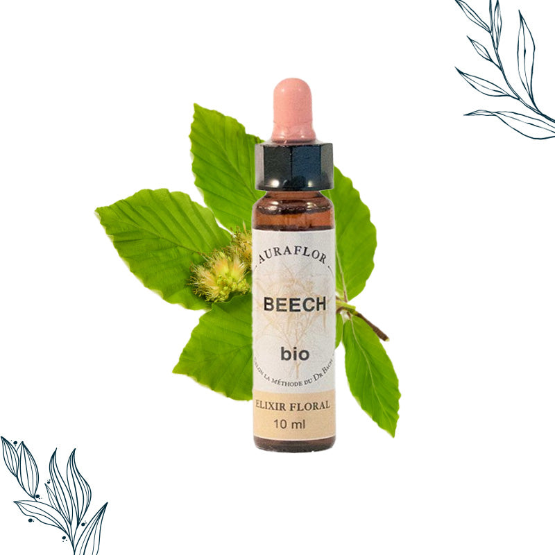 Compte gouttes de 10 ml de fleur de bach hêtre bio de la marque Dioter