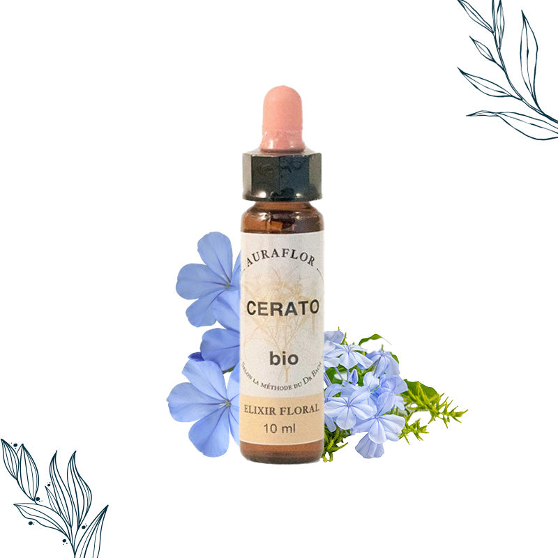 Compte gouttes de 10 ml de fleur de bach bio Cerato de la marque dioter