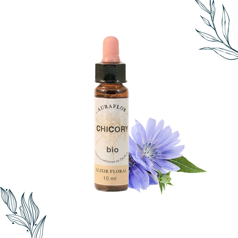 Fleurs de Bach Bio Chicorée de Dioter en compte-gouttes