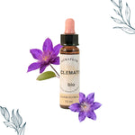 Compte gouttes de 10 ml de fleurs de bach Clématite bio de la marque dioter