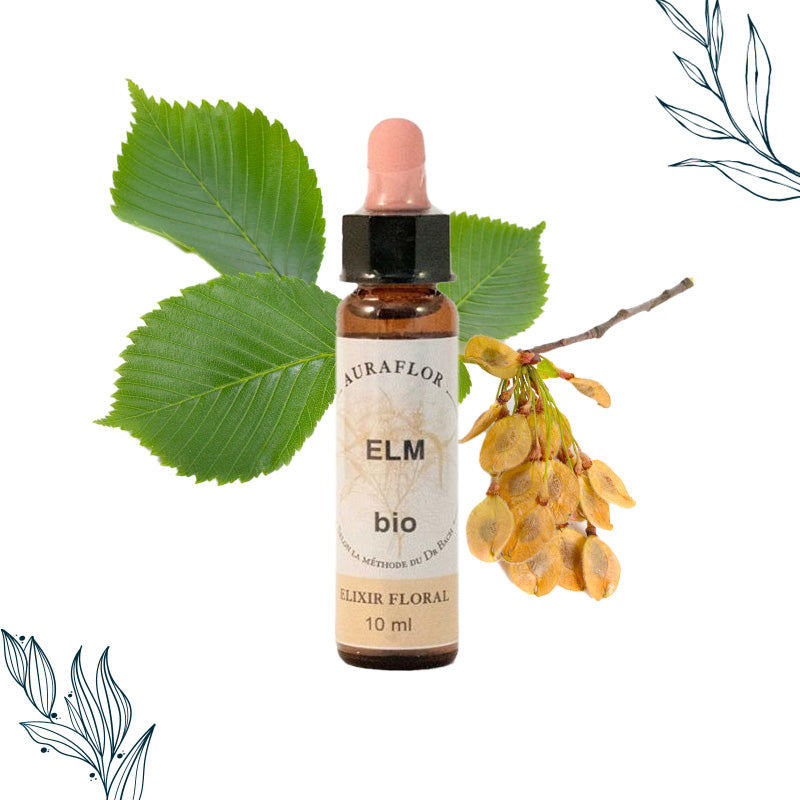 Compte gouttes de 10ml de fleurs de bach bio d'Orme de la marque Dioter