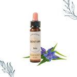 Compte-gouttes de 10ml de fleurs de bach bio de Gentiane de la marque Dioter