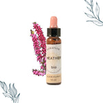 Compte-gouttes de 10ml de fleurs de bach bio de Bruyère de la marque Dioter