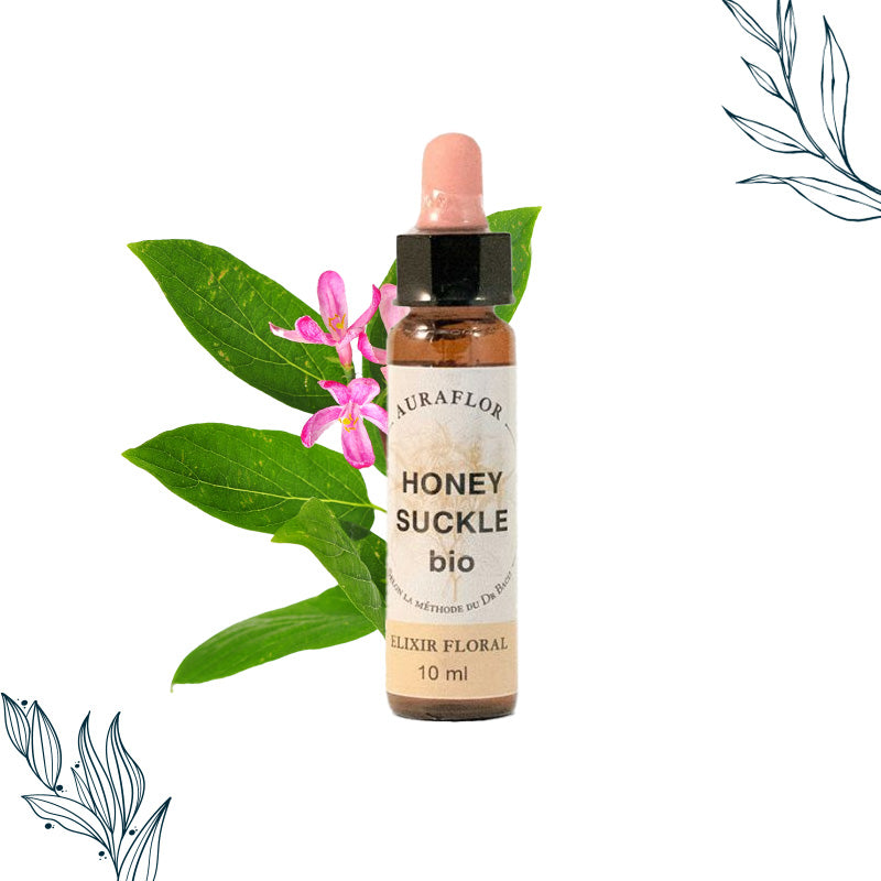 Compte-gouttes de 10ml de fleurs de bach bio de Chèvrefeuilles de la marque Dioter