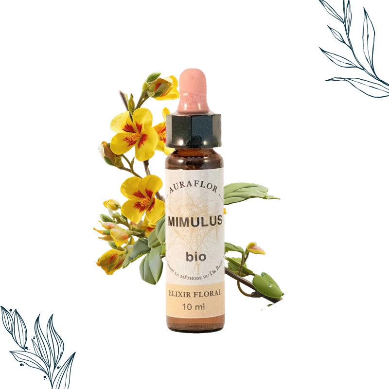 Compte-gouttes de 10ml de fleurs de bach bio de Mimule de la marque Dioter
