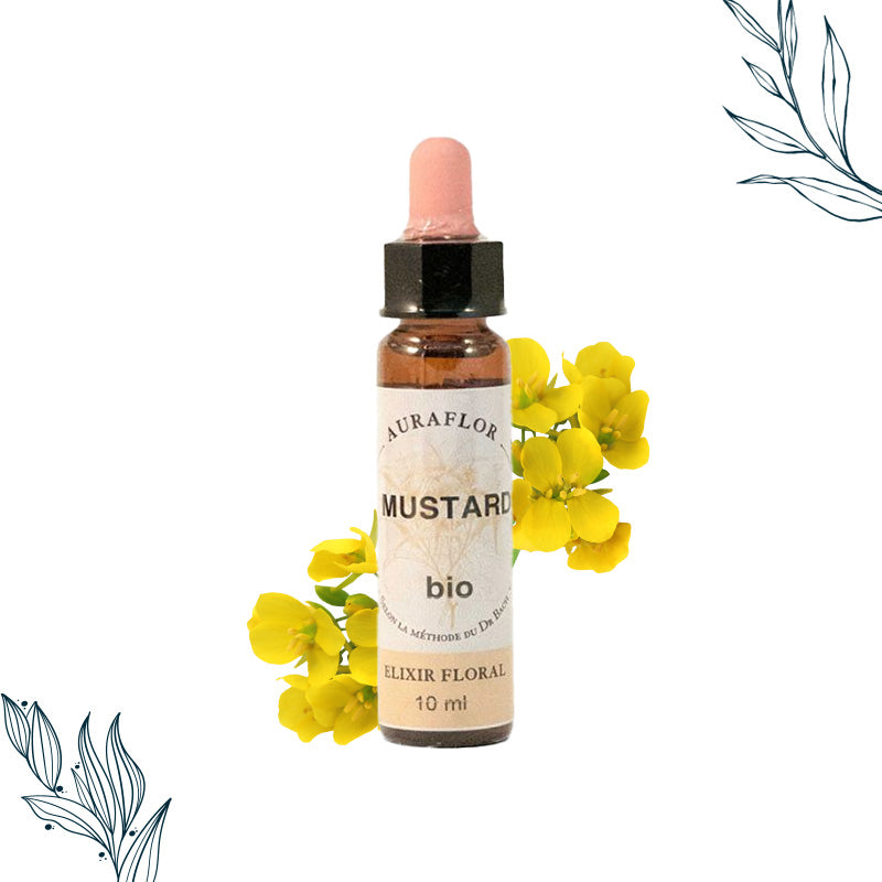 Compte-gouttes de 10ml de fleurs de bach bio de Mourtarde de la marque Dioter