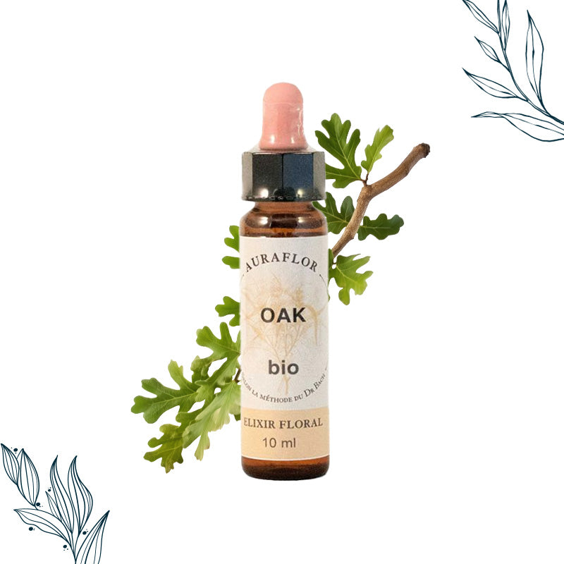 Fleurs de Bach Bio Chêne en compte-gouttes