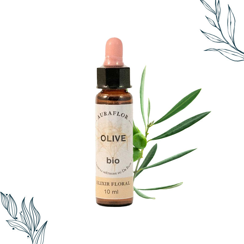 Compte-gouttes de 10ml de fleurs de bach bio d'Olivier de la marque Dioter