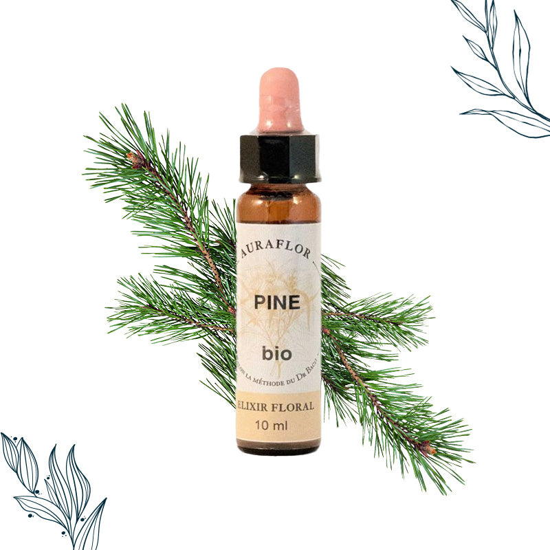 Fleurs de Bach Bio Pin Sylvestre en compte-gouttes