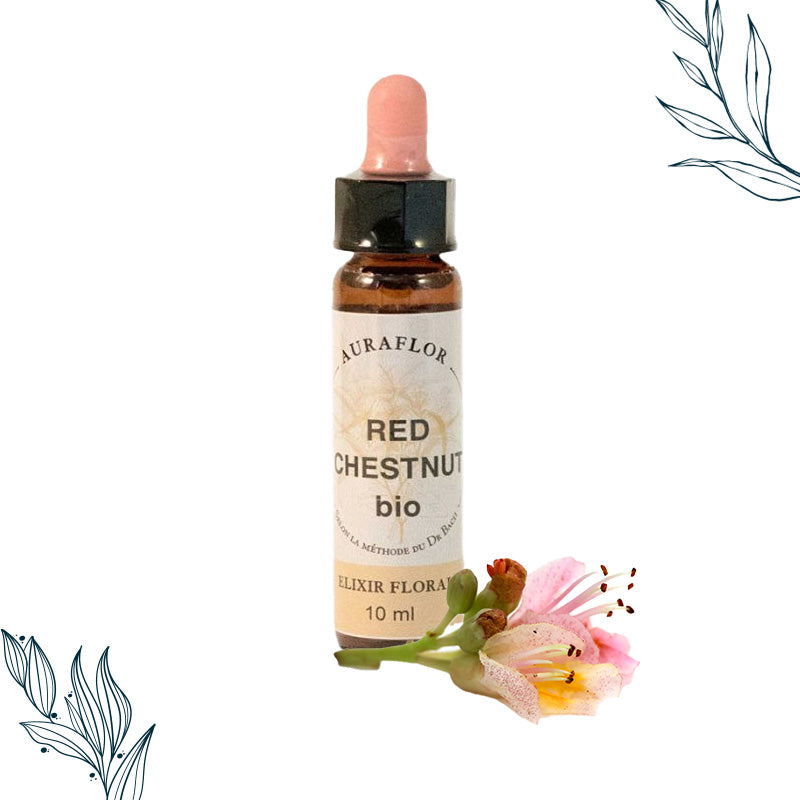 Compte-gouttes de 10ml de fleurs de bach bio de Marronnier rouge de la marque Dioter
