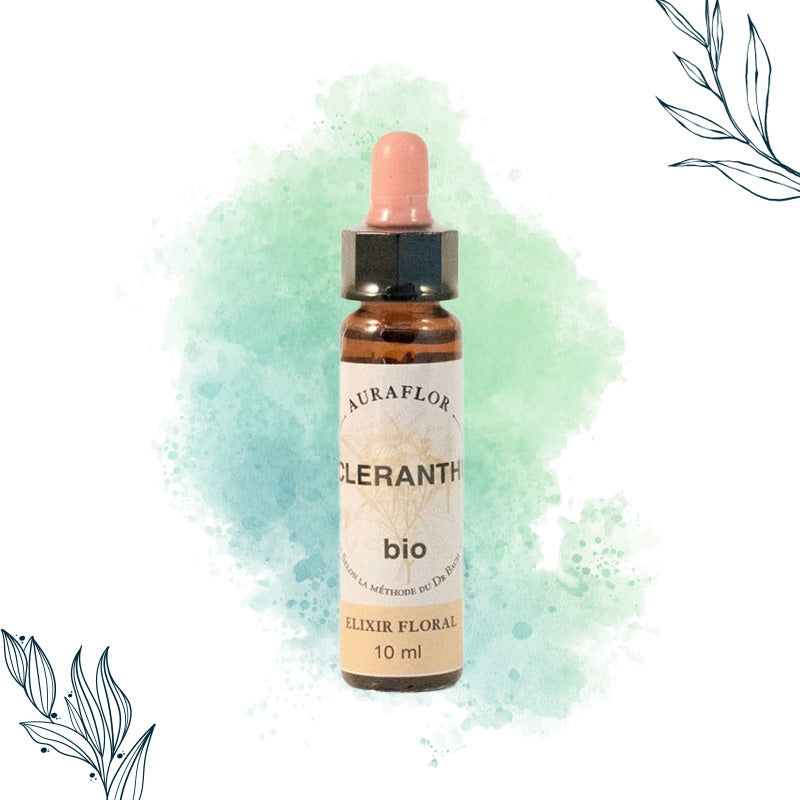 Compte-gouttes de 10ml de fleurs de bach bio de Scléranthe de la marque Dioter