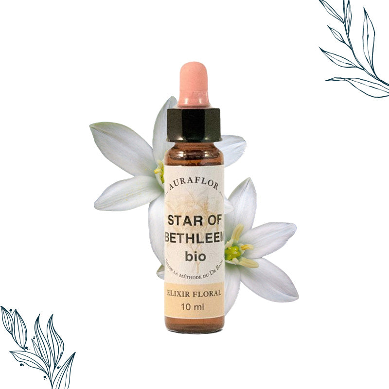 Compte-gouttes de 10ml de fleurs de bach bio d’Etoile de Bethleem de la marque Dioter