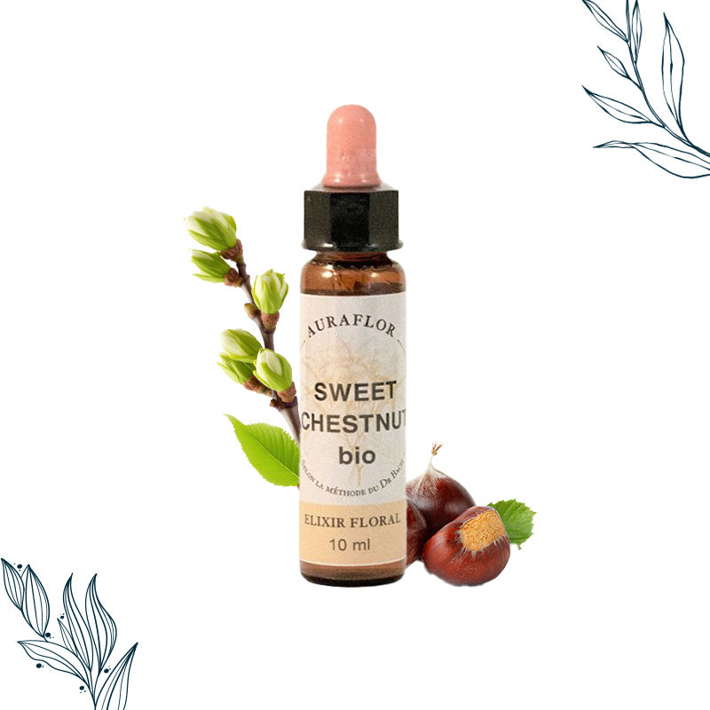Compte-gouttes de 10ml de fleurs de bach bio de Chataignier de la marque Dioter