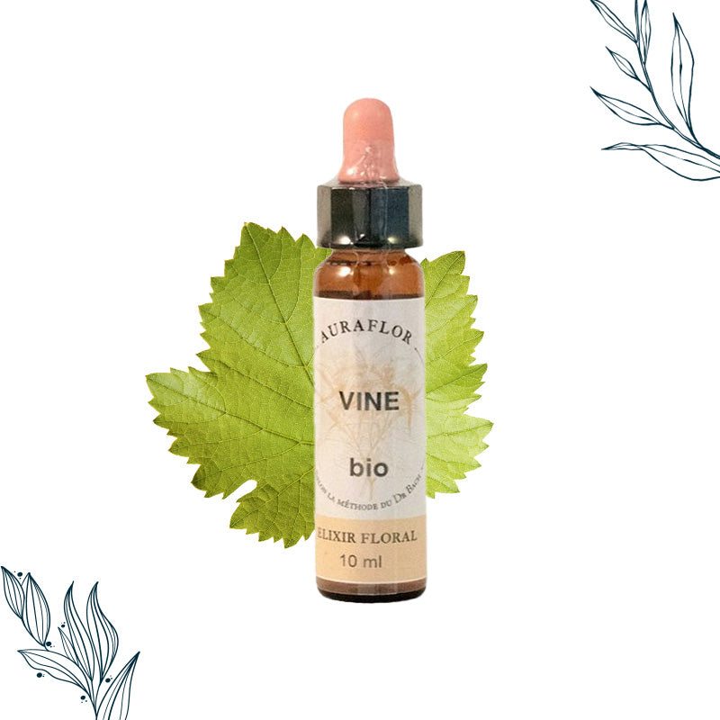 Compte-goutte de 10ml de fleurs de bach bio de vigne de la marque Dioter