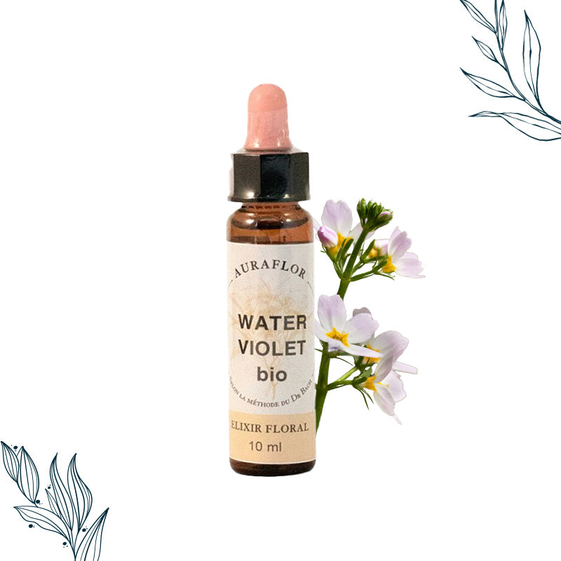 Compte-goutte de 10ml de fleurs de bach bio de violette d’eau de la marque Dioter