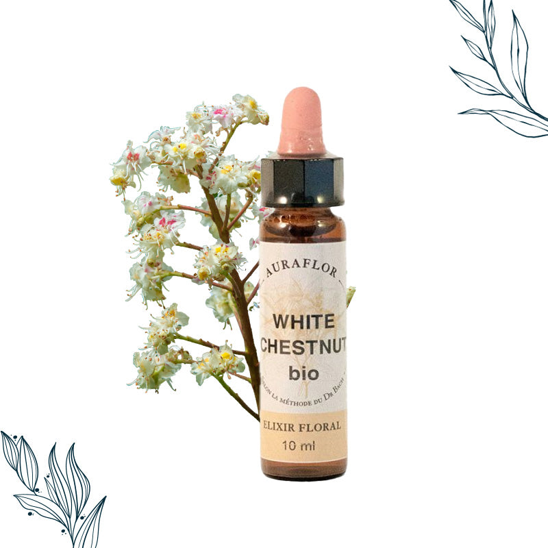 Fleurs de Bach Bio Marronnier Blanc en compte-goutte