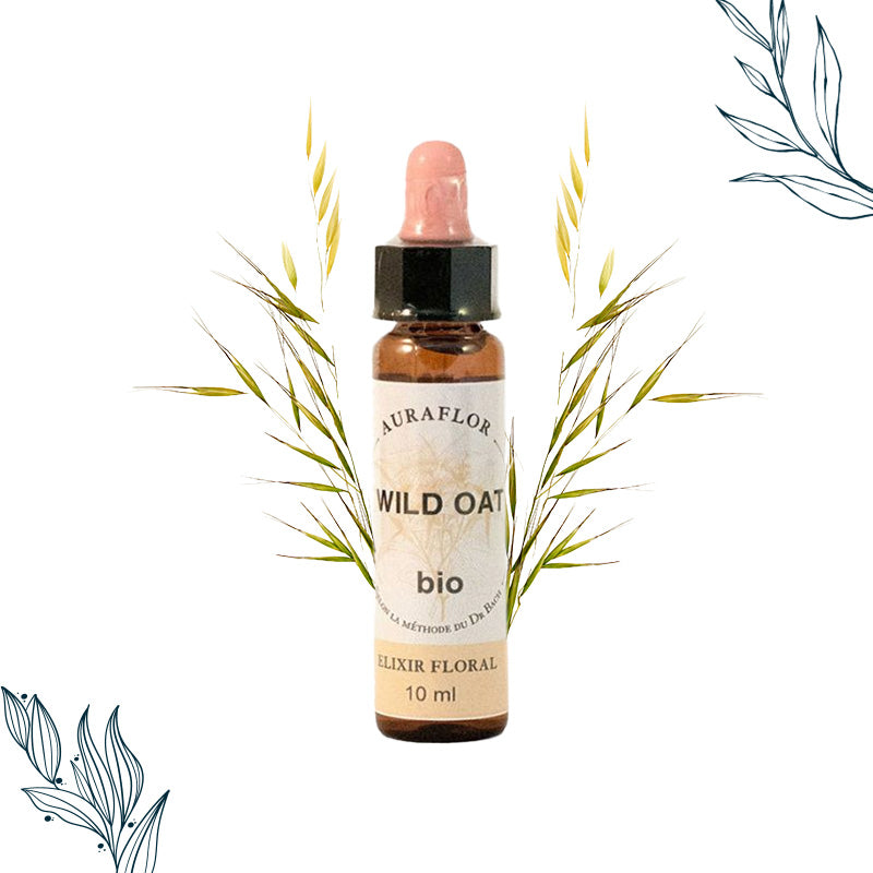 Compte-goutte de 10ml de fleurs de bach bio de folle avoine de la marque Dioter