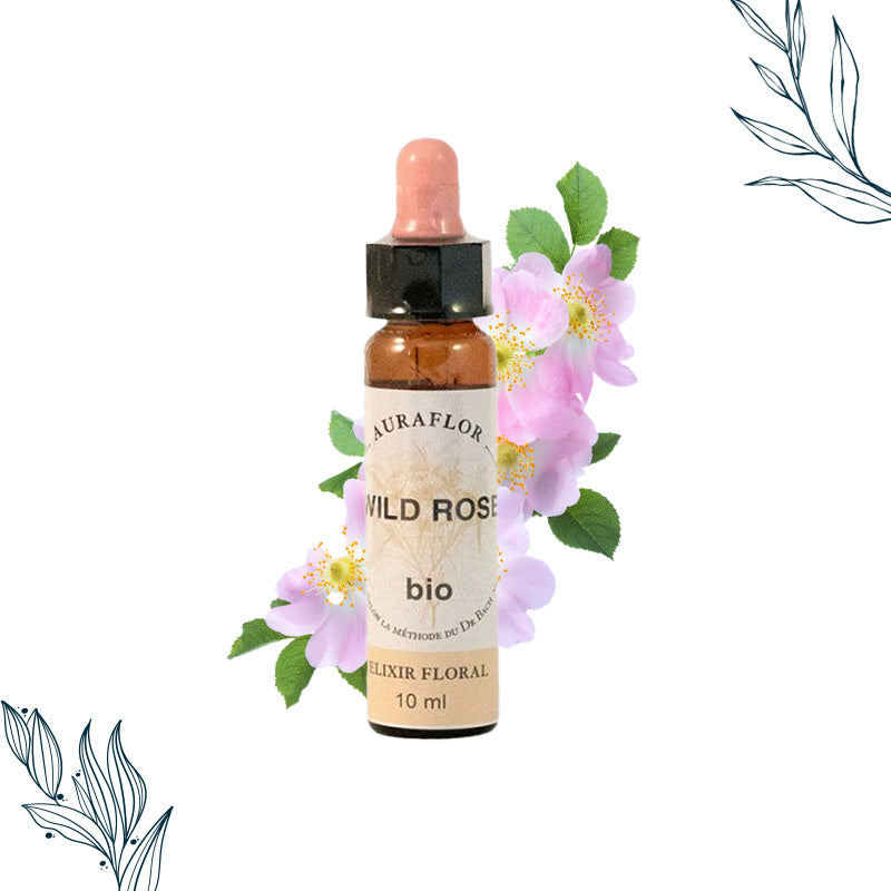Fleurs de Bach Bio Églantier en compte-goutte