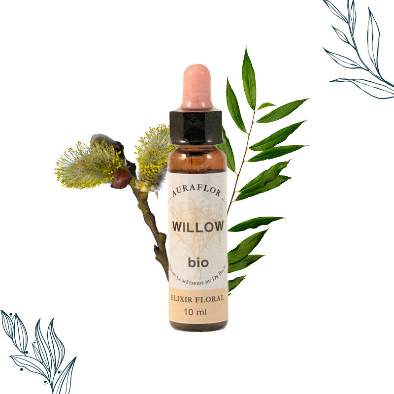 Compte-goutte de 10ml de fleurs de bach bio de Saule de la marque Dioter