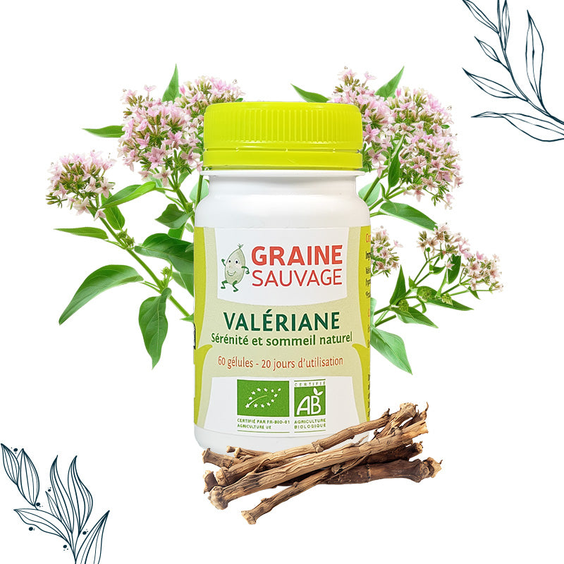 Pilulier de 60 gélules de Valériane bio de la marque Graine Sauvage