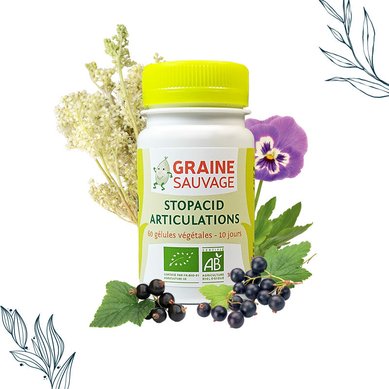 Pilulier de 60 gélules de Stopacid Articulations Bio de la marque Graine Sauvage