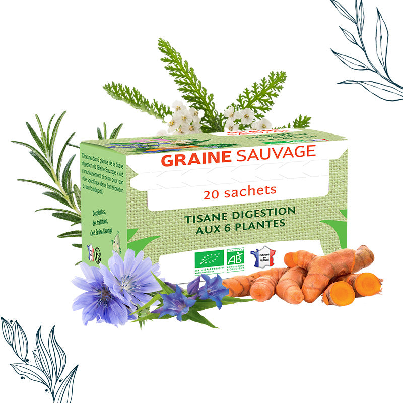 Boîte de 20 sachets de Tisane Digestion Bio de la marque Graine Sauvage