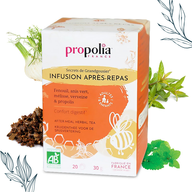 Infusion après-repas bio en sachets – Propolia