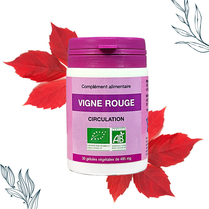 Vigne rouge bio en gélules de la marque Vinophénols