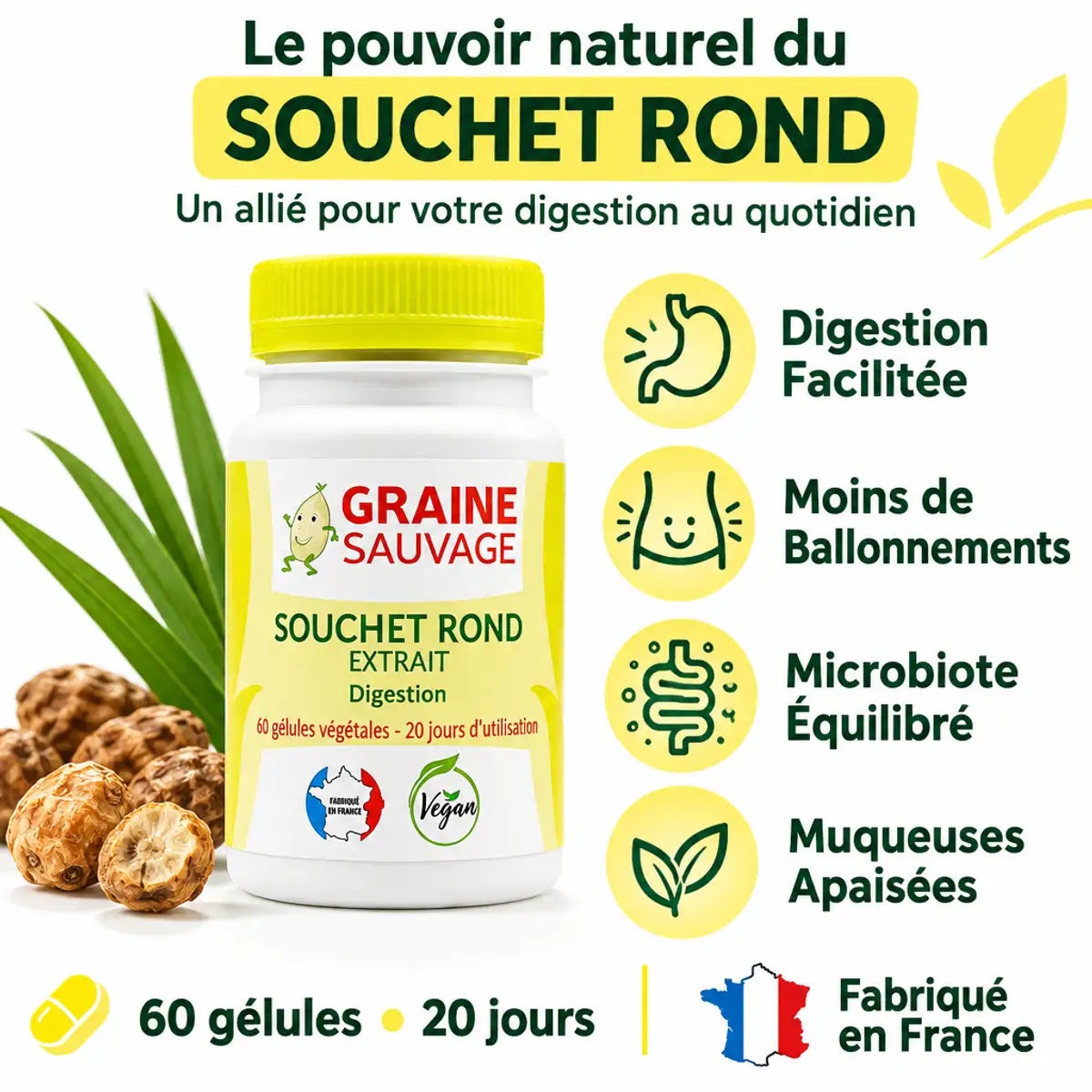 Souchet rond 60 gélules Graine Sauvage avec bénéfices digestion et microbiote équilibré