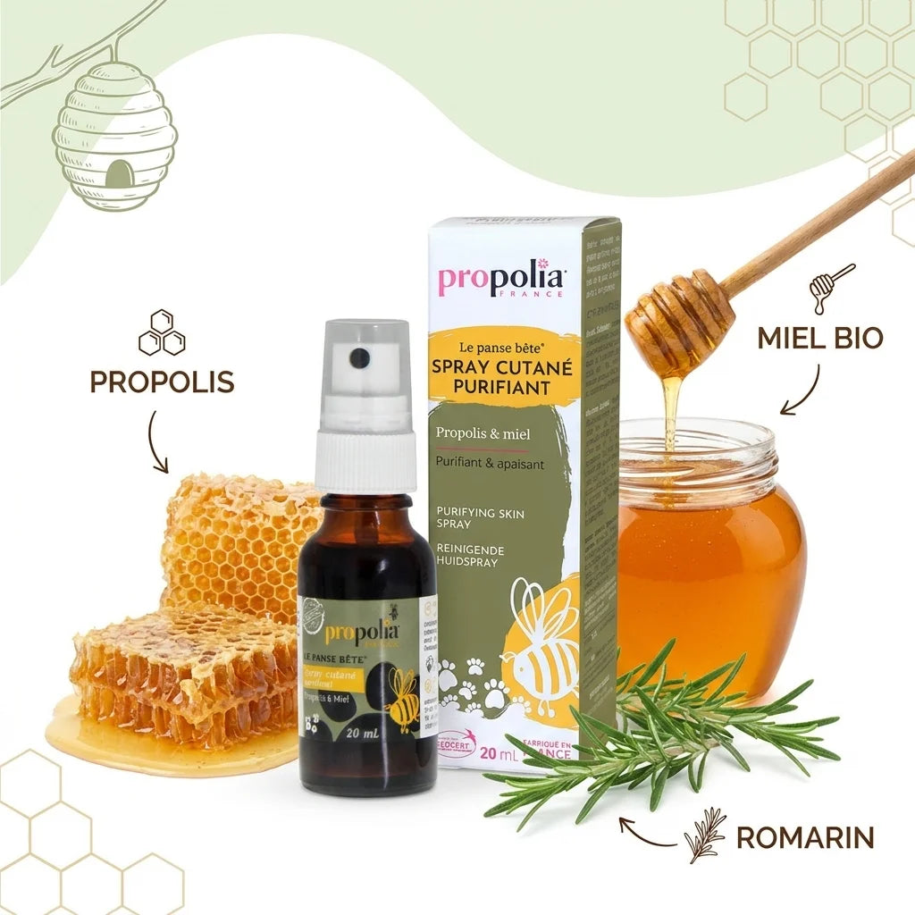 Spray cutané purifiant Propolia avec propolis, miel bio et romarin - flacon produit