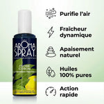 Spray d'ambiance Cèdre-Citron Aromaspray avec ses 5 bénéfices : purification, fraîcheur, apaisement naturel