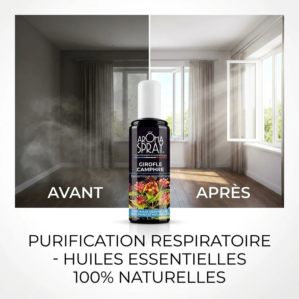 Spray d'ambiance Girofle Camphre transforme l'air intérieur - avant/après purification respiratoire