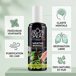 Spray d'ambiance Menthe Niaouli Aromaspray avec infographie des 5 bénéfices : fraîcheur, purification, clarté mentale