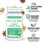 Stomacline bio comprimés bouteille verte avec icônes bénéfices digestion et bien-être gastrique