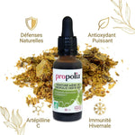 Teinture mère propolis verte bio Propolia 30ml avec bénéfices immunité et antioxydant