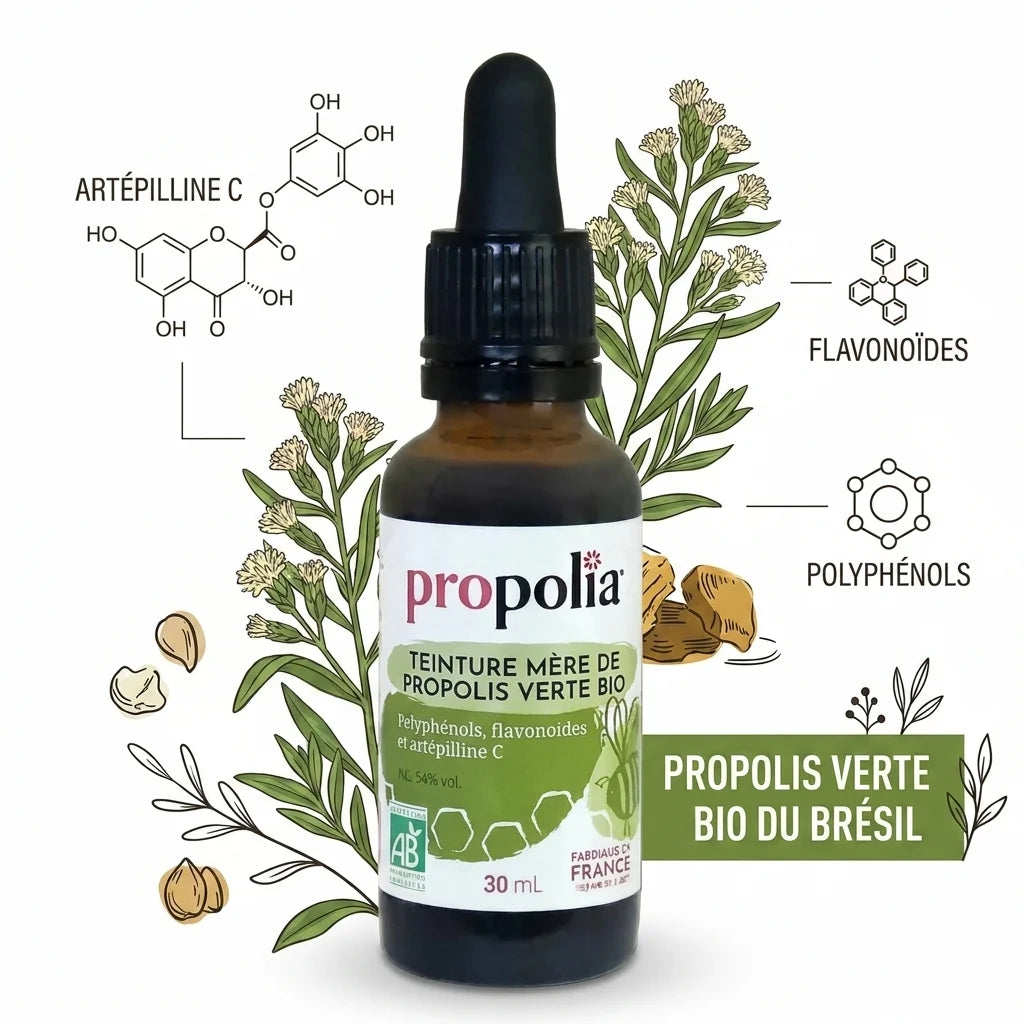 Teinture mère propolis verte bio Propolia avec ingrédients actifs artépilline C flavonoïdes