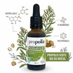 Teinture mère propolis verte bio Propolia avec ingrédients actifs artépilline C flavonoïdes