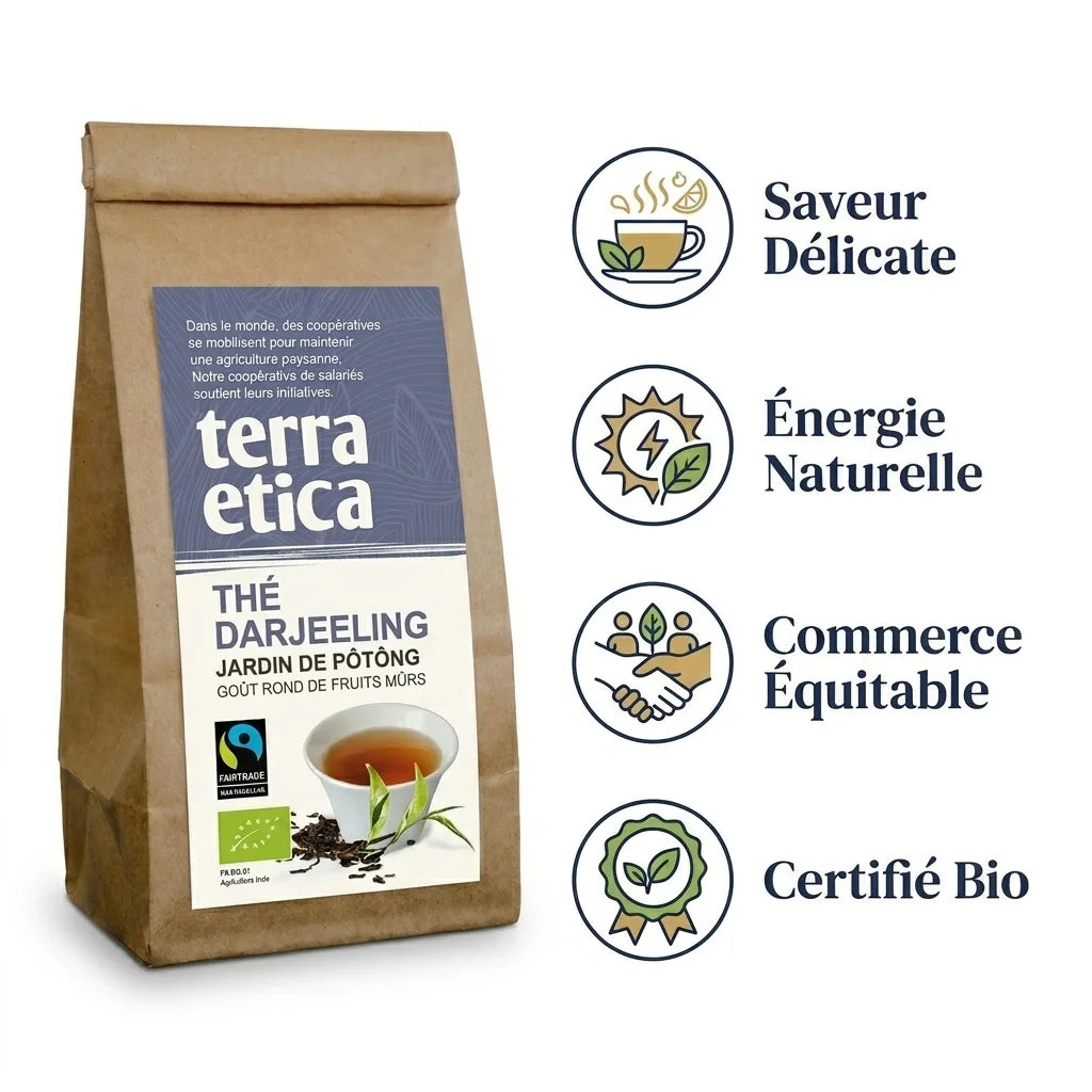 Thé Darjeeling Bio Terra Etica en packaging kraft avec label bleu, certifications équitables visibles
