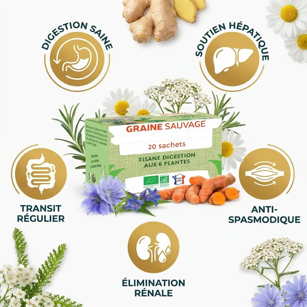 Tisane Digestion Bio Graine Sauvage en infusettes avec bénéfices santé et ingrédients naturels